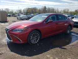 2024 Lexus ES 350 Base for sale in Chalfont, PA