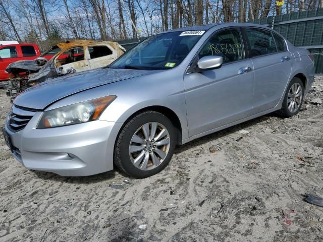 2011 Honda Accord EXL