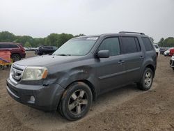 Honda salvage cars for sale: 2011 Honda Pilot EXL