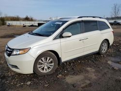 Honda salvage cars for sale: 2014 Honda Odyssey EXL