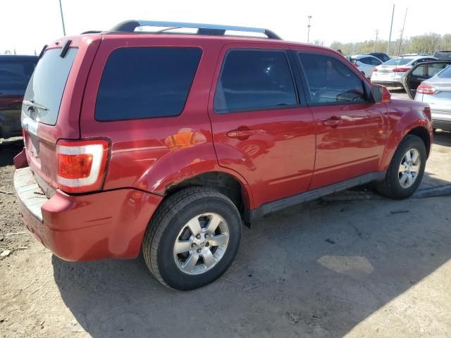 2011 Ford Escape Limited