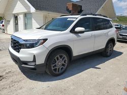 Salvage cars for sale from Copart Northfield, OH: 2023 Honda Passport EXL