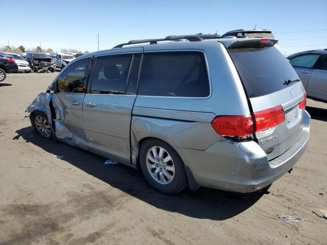 2010 Honda Odyssey EXL