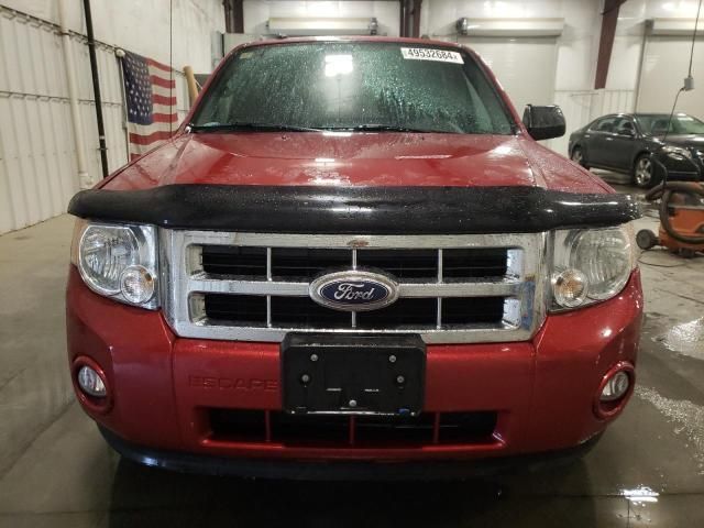 2012 Ford Escape XLT