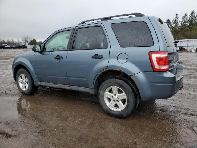 2011 Ford Escape XLT