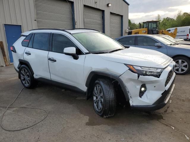 2024 Toyota Rav4 XLE Premium