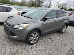 2014 Ford Escape Titanium for sale in Bridgeton, MO