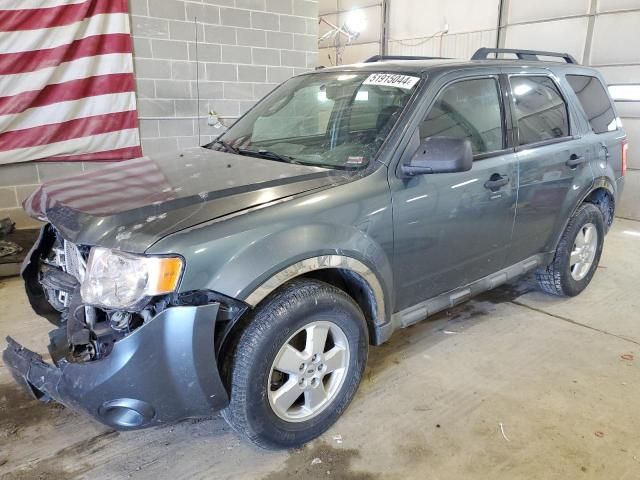 2010 Ford Escape XLT