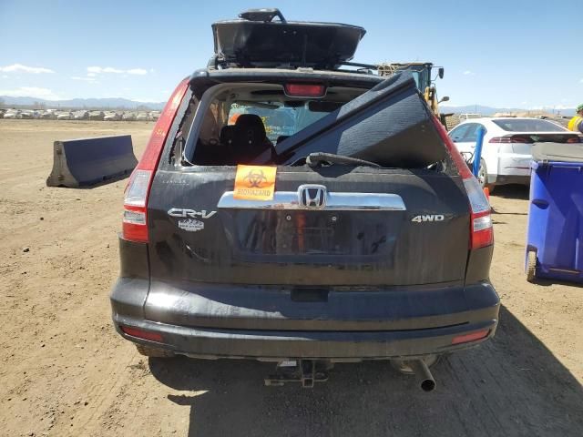 2010 Honda CR-V EX