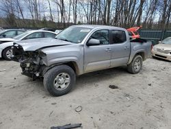 Toyota salvage cars for sale: 2019 Toyota Tacoma Double Cab