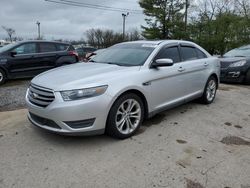 Ford Taurus salvage cars for sale: 2013 Ford Taurus SEL