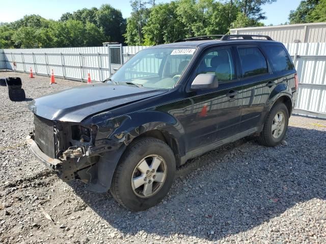 2010 Ford Escape XLT