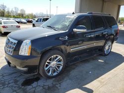 2011 Cadillac Escalade Platinum for sale in Fort Wayne, IN