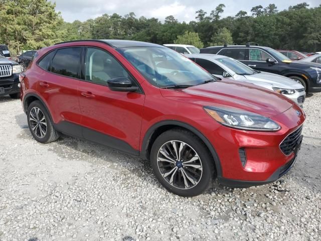 2021 Ford Escape SE