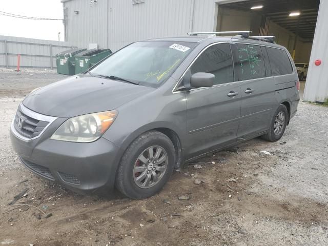 2008 Honda Odyssey EXL