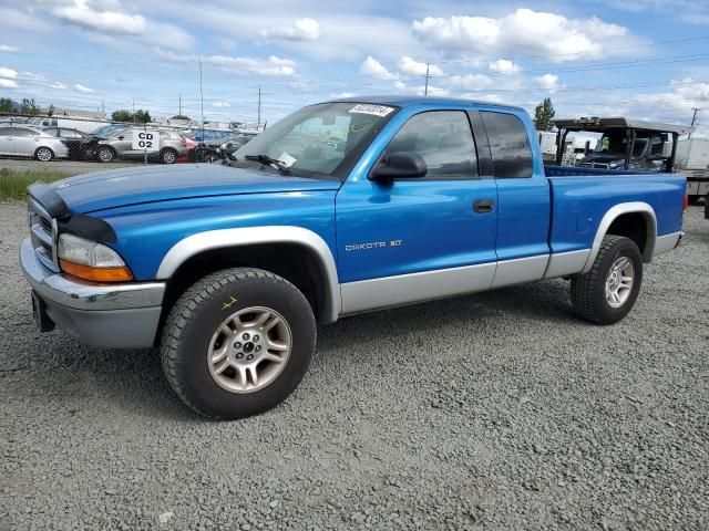 2001 Dodge Dakota