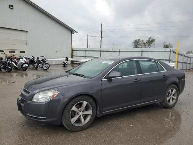 2011 Chevrolet Malibu 1LT