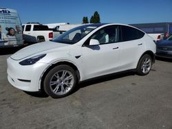 2024 Tesla Model Y for sale in Hayward, CA