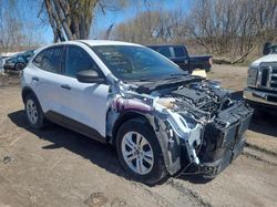 Salvage cars for sale from Copart Ontario Auction, ON: 2020 Ford Escape S