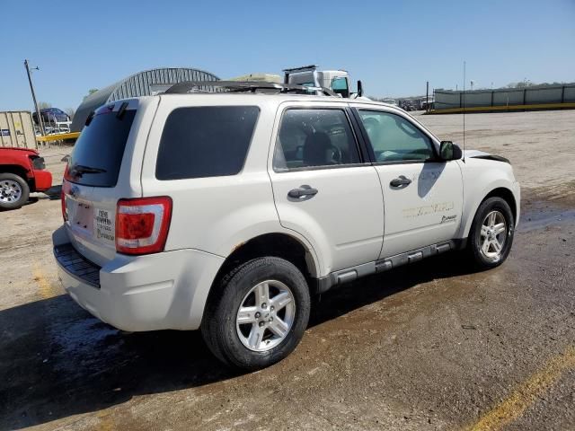 2011 Ford Escape Hybrid