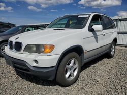 Vehiculos salvage en venta de Copart Reno, NV: 2003 BMW X5 3.0I