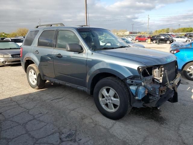 2010 Ford Escape XLT