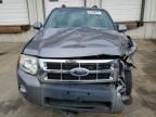 2008 Ford Escape Limited