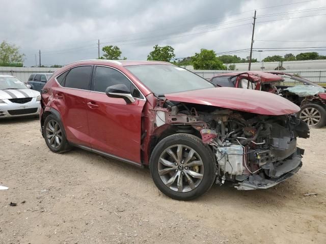 2020 Lexus NX 300 F-Sport