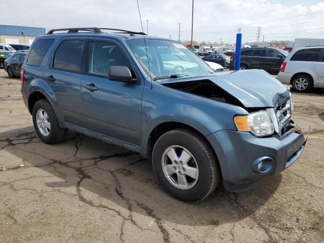 2011 Ford Escape XLT