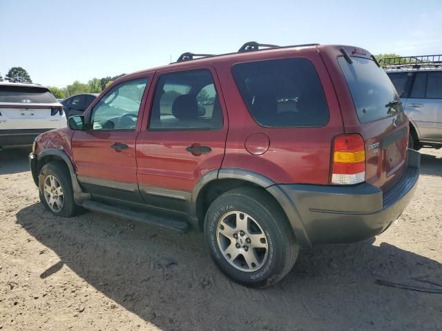 2004 Ford Escape XLT