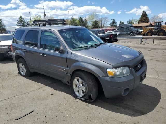 2006 Ford Escape HEV