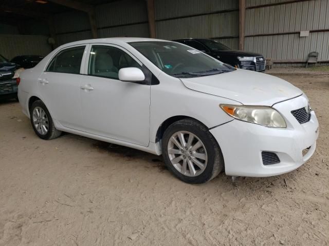 2009 Toyota Corolla Base