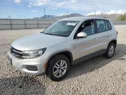 Volkswagen Tiguan s salvage cars for sale: 2013 Volkswagen Tiguan S