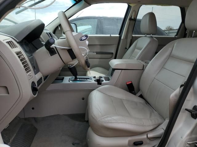 2008 Ford Escape XLT