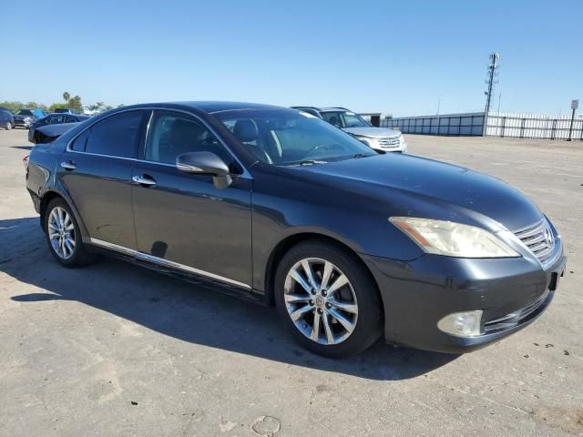 2010 Lexus ES 350