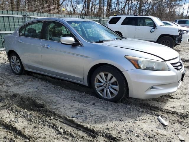 2011 Honda Accord EXL