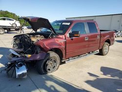 Salvage cars for sale from Copart Gaston, SC: 2010 Ford F150 Supercrew