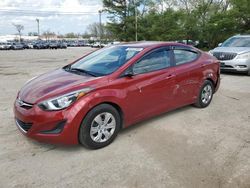 2016 Hyundai Elantra SE for sale in Lexington, KY