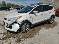 2013 Ford Escape SEL en venta en Lawrenceburg, KY
