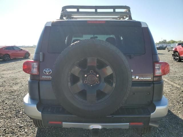 2007 Toyota FJ Cruiser