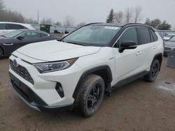 2019 Toyota Rav4 XLE for sale in Bowmanville, ON