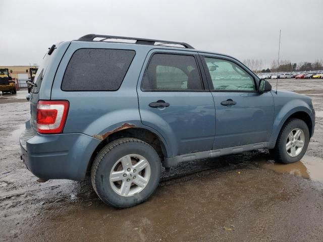 2011 Ford Escape XLT