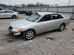 Salvage cars for sale from Copart Lawrenceburg, KY: 2004 Toyota Avalon XL