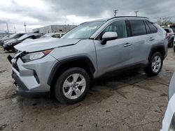 2019 Toyota Rav4 XLE for sale in Chicago Heights, IL