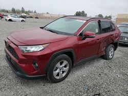 Toyota Rav4 Vehiculos salvage en venta: 2019 Toyota Rav4 XLE