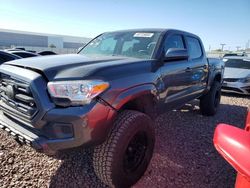 Salvage cars for sale from Copart Phoenix, AZ: 2019 Toyota Tacoma Double Cab