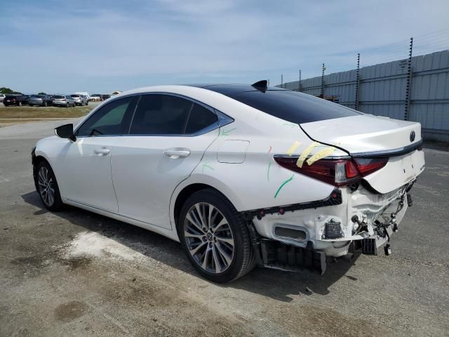 2019 Lexus ES 350