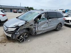 Honda Odyssey Vehiculos salvage en venta: 2019 Honda Odyssey Elite