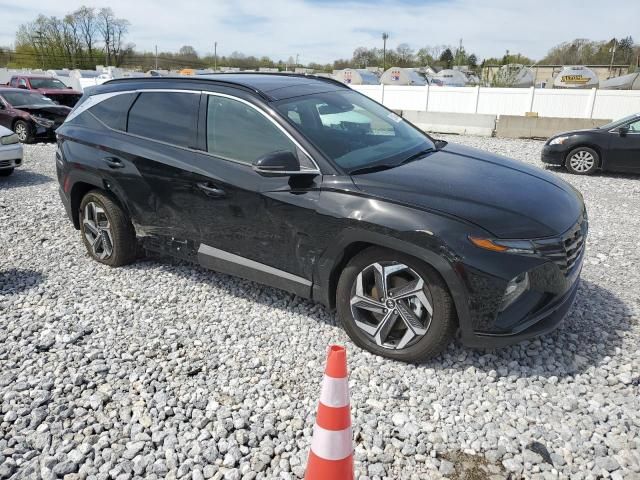 2024 Hyundai Tucson Limited