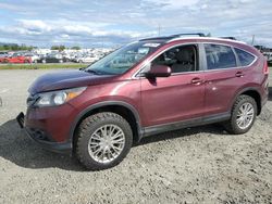 2013 Honda CR-V EXL en venta en Eugene, OR